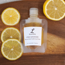 Load image into Gallery viewer, Livconsciously: Travel Castile Liquid Soap